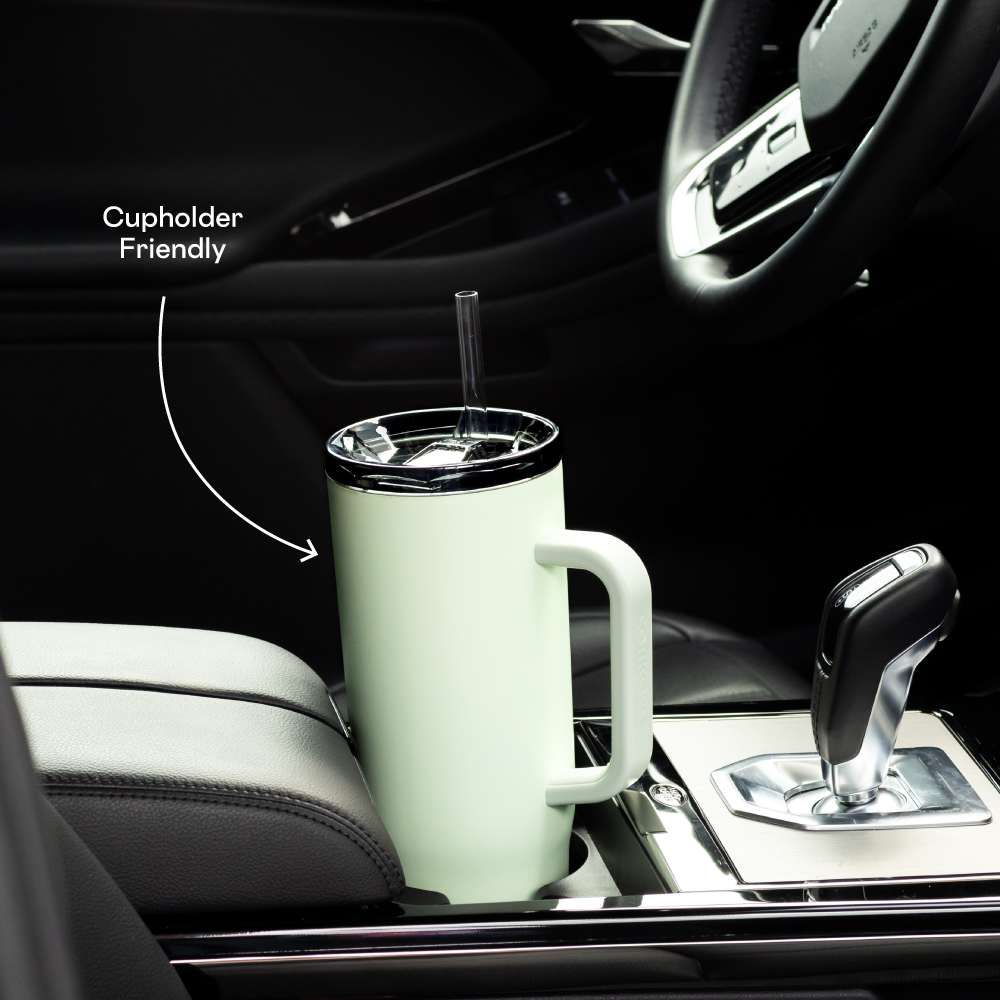 Cruiser - Daily Cup H7