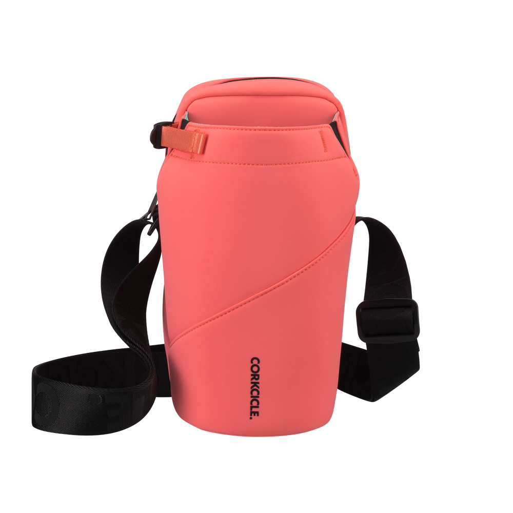 Sling - Home Companion V2
