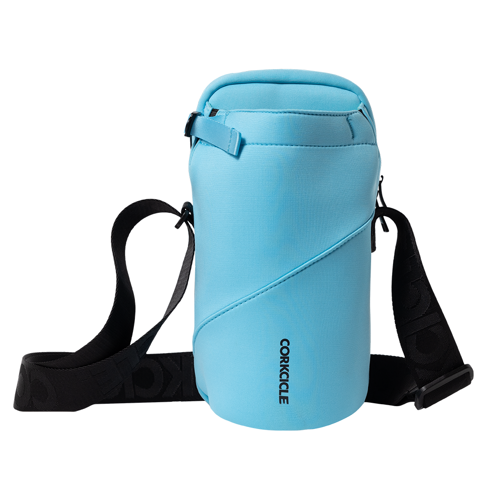 Sling - Home Companion V2
