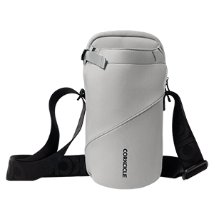 Sling - Home Companion V2