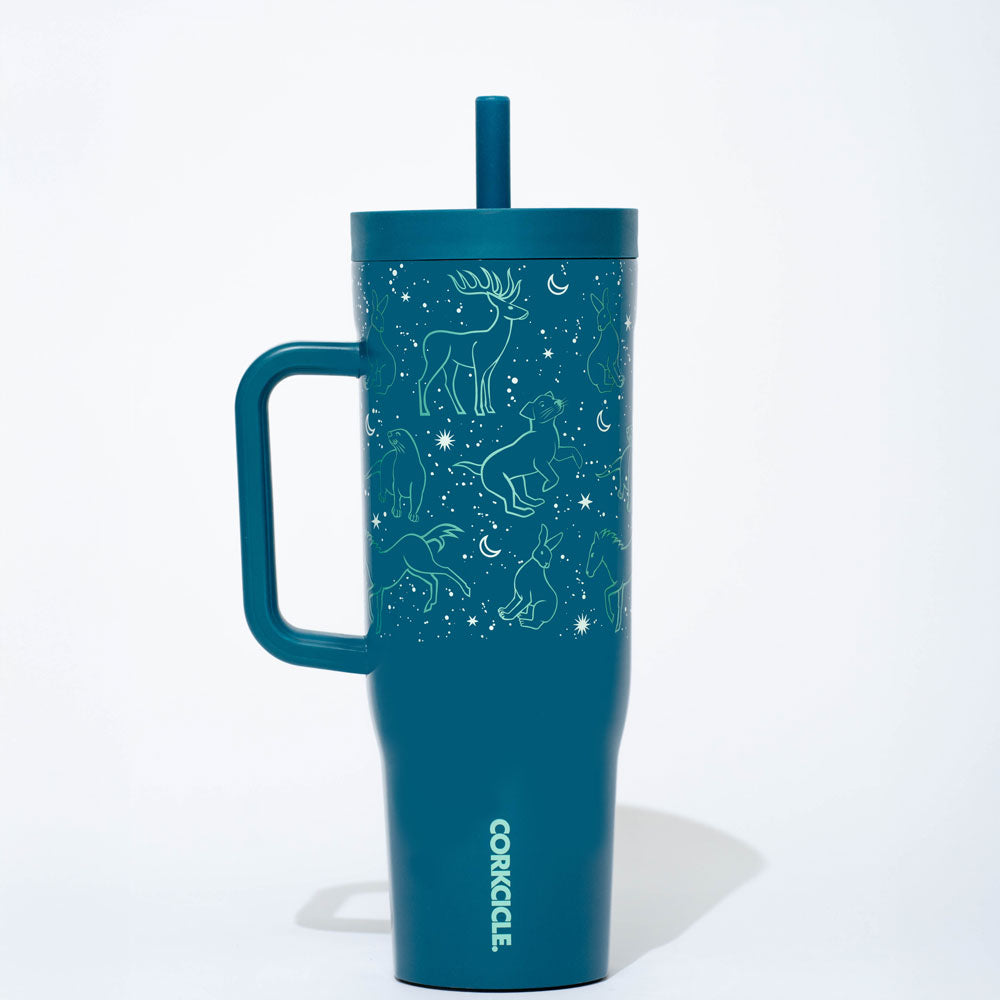 Harry Potter Leakproof Cruiser - Seasonal Sip D4